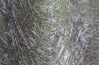 Galbally fibreglass roof work